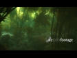 Kelp Dive 1 1390